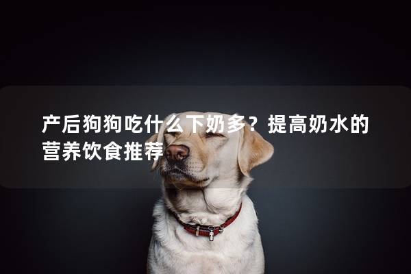 產后狗狗吃什么下奶多?提高奶水的營養飲食推薦 產后狗狗吃什么下奶多?提高奶水的營養飲食推薦