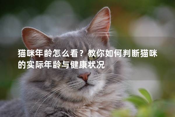 貓咪年齡怎么看？教你如何判斷貓咪的實際年齡與健康狀況