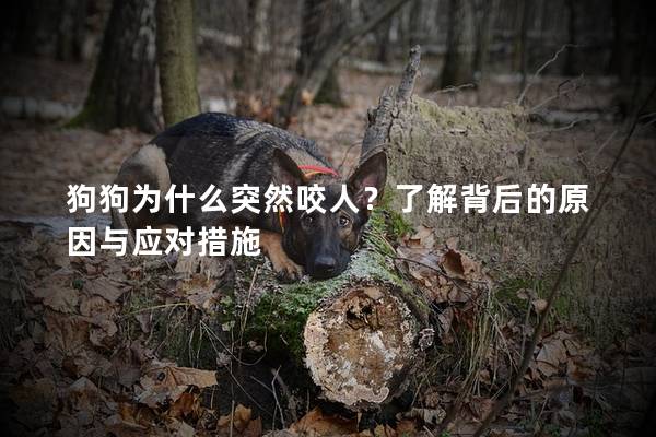 狗狗為什么突然咬人？了解背后的原因與應(yīng)對措施