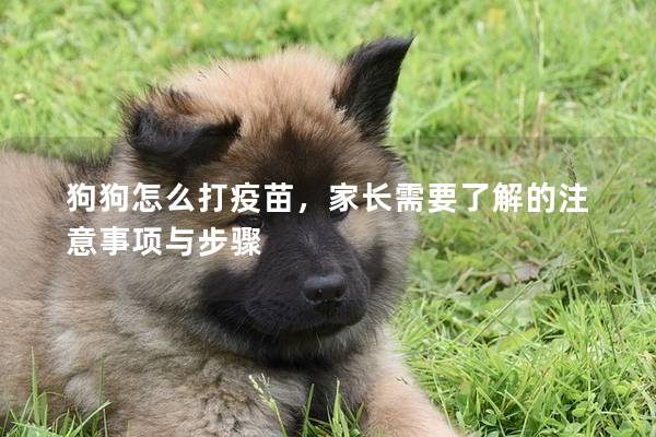 狗狗怎么打疫苗，家長(zhǎng)需要了解的注意事項(xiàng)與步驟