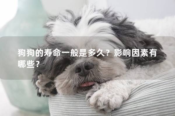 狗狗的壽命一般是多久？影響因素有哪些？