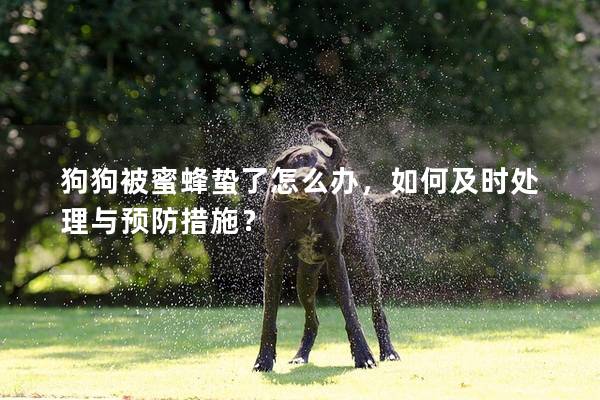 狗狗被蜜蜂蟄了怎么辦，如何及時處理與預防措施？