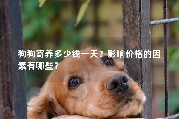 狗狗寄養多少錢一天？影響價格的因素有哪些？