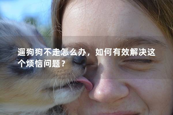遛狗狗不走怎么辦，如何有效解決這個(gè)煩惱問(wèn)題？