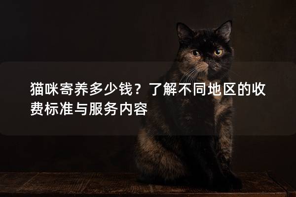 貓咪寄養多少錢？了解不同地區的收費標準與服務內容