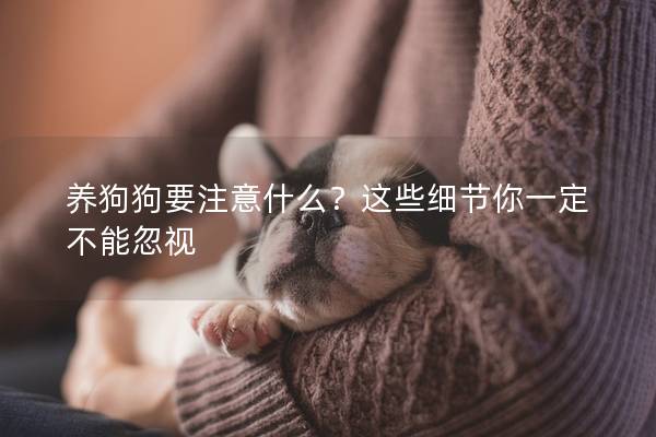 養狗狗要注意什么？這些細節你一定不能忽視