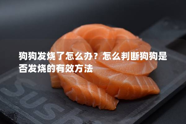 狗狗發燒了怎么辦？怎么判斷狗狗是否發燒的有效方法