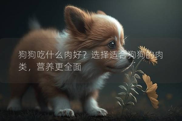 狗狗吃什么肉好？選擇適合狗狗的肉類，營養更全面