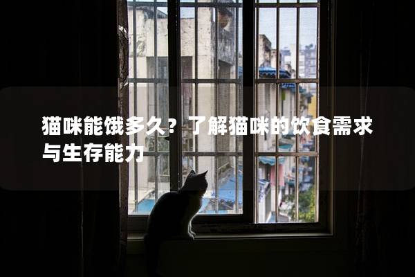 貓咪能餓多久?了解貓咪的飲食需求與生存能力 貓咪能餓多久?了解貓咪的飲食需求與生存能力