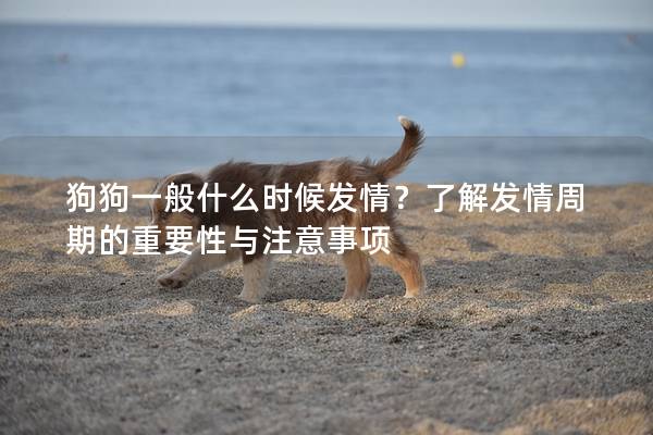 狗狗一般什么時(shí)候發(fā)情？了解發(fā)情周期的重要性與注意事項(xiàng)