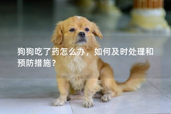 狗狗吃了藥怎么辦，如何及時(shí)處理和預(yù)防措施？