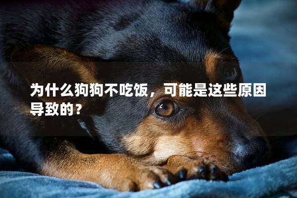為什么狗狗不吃飯，可能是這些原因?qū)е碌模?></em><p>為什么狗狗不吃飯，可能是這些原因?qū)е碌模?/p><span>2025-05-15</span></a></li><li><a title=