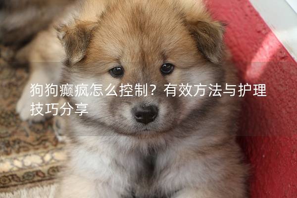 狗狗癲瘋怎么控制？有效方法與護(hù)理技巧分享