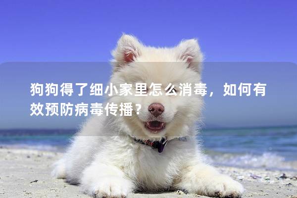 狗狗得了細小家里怎么消毒，如何有效預防病毒傳播？