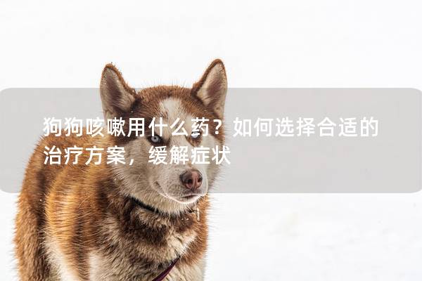 狗狗咳嗽用什么藥？如何選擇合適的治療方案，緩解癥狀