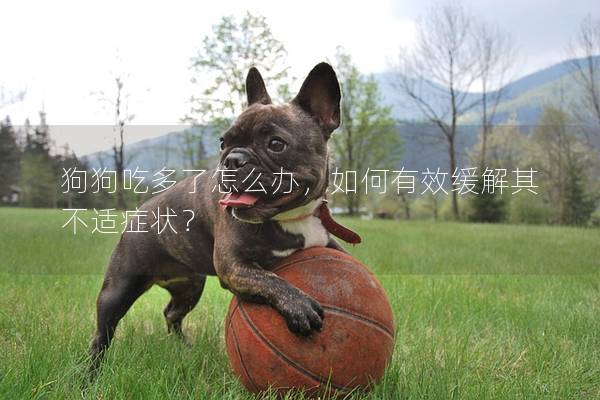 狗狗吃多了怎么辦,如何有效緩解其不適癥狀? 狗狗吃多了怎么辦,如何有效緩解其不適癥狀?