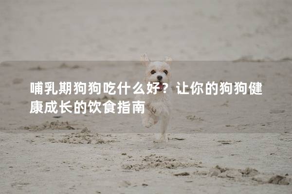 哺乳期狗狗吃什么好？讓你的狗狗健康成長的飲食指南