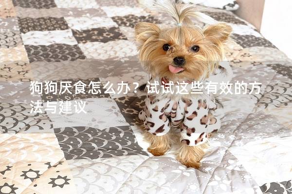 狗狗厭食怎么辦？試試這些有效的方法與建議