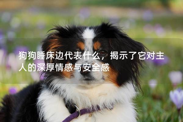 狗狗睡床邊代表什么,揭示了它對主人的深厚情感與安全感 狗狗睡床邊代表什么,揭示了它對主人的深厚情感與安全感