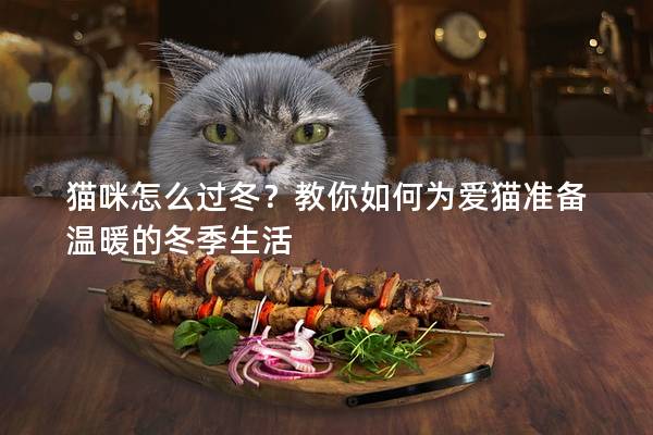貓咪怎么過冬？教你如何為愛貓準備溫暖的冬季生活