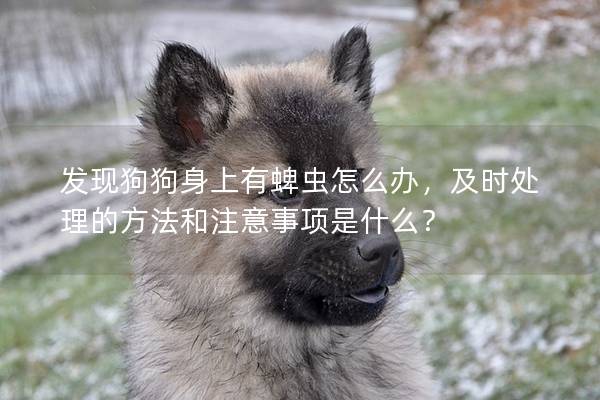 發現狗狗身上有蜱蟲怎么辦，及時處理的方法和注意事項是什么？