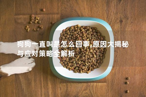 狗狗一直叫是怎么回事,原因大揭秘與應(yīng)對策略全解析