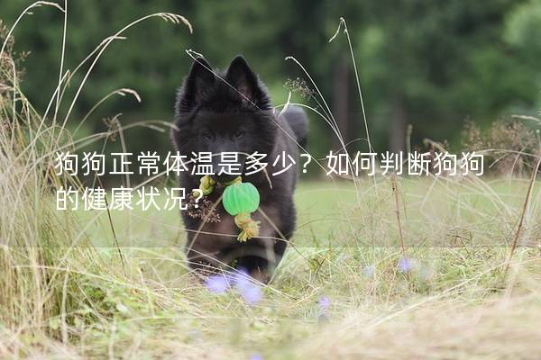 狗狗正常體溫是多少?如何判斷狗狗的健康狀況? 狗狗正常體溫是多少?如何判斷狗狗的健康狀況?