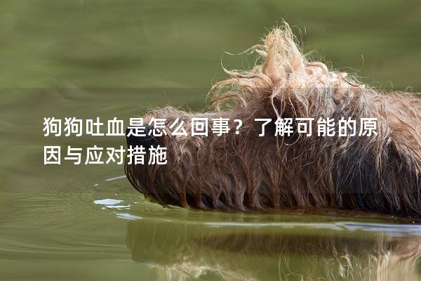 狗狗吐血是怎么回事？了解可能的原因與應(yīng)對(duì)措施