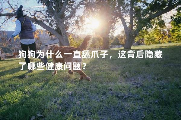 狗狗為什么一直舔爪子，這背后隱藏了哪些健康問題？