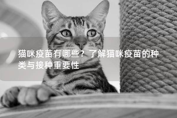 貓咪疫苗有哪些？了解貓咪疫苗的種類(lèi)與接種重要性