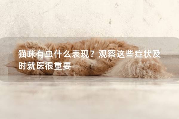 貓咪有蟲什么表現？觀察這些癥狀及時就醫很重要