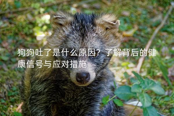 狗狗吐了是什么原因？了解背后的健康信號與應對措施