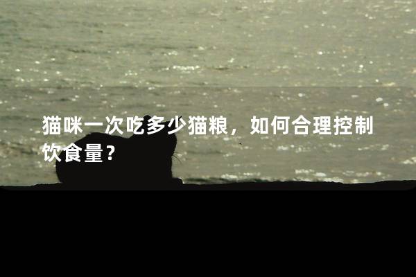 貓咪一次吃多少貓糧，如何合理控制飲食量？