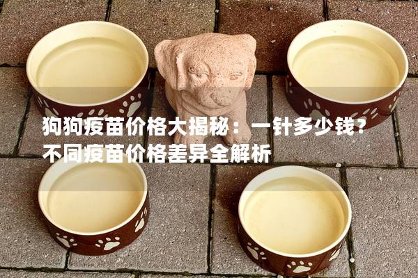 狗狗疫苗價格大揭秘：一針多少錢？不同疫苗價格差異全解析
