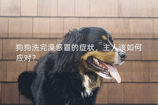 狗狗洗完澡感冒的癥狀，主人該如何應對？