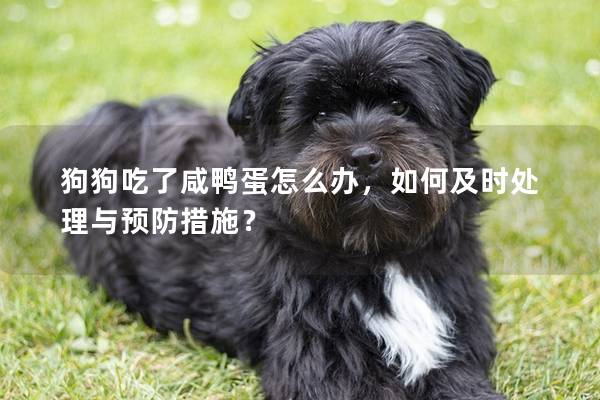 狗狗吃了咸鴨蛋怎么辦，如何及時(shí)處理與預(yù)防措施？