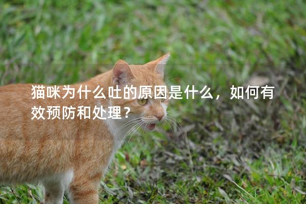 貓咪為什么吐的原因是什么,如何有效預防和處理? 貓咪為什么吐的原因是什么,如何有效預防和處理?