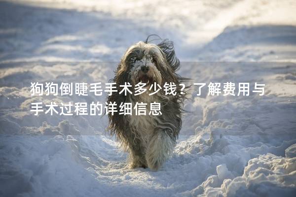 狗狗倒睫毛手術多少錢？了解費用與手術過程的詳細信息