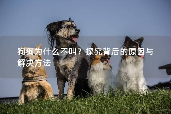 狗狗為什么不叫？探究背后的原因與解決方法