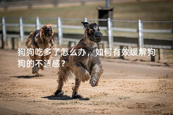 狗狗吃多了怎么辦，如何有效緩解狗狗的不適感？