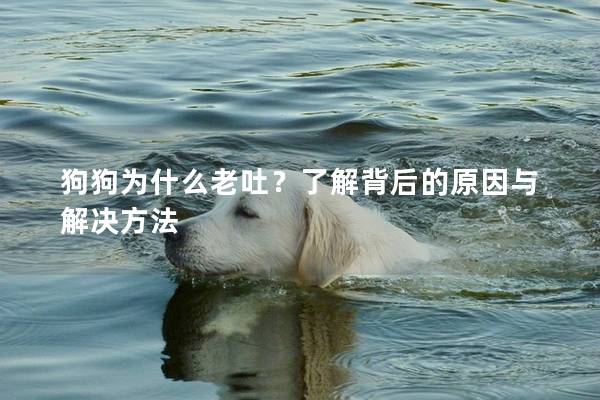 狗狗為什么老吐？了解背后的原因與解決方法