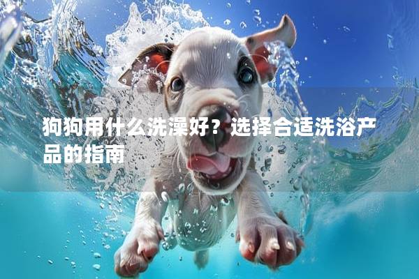 狗狗用什么洗澡好？選擇合適洗浴產品的指南