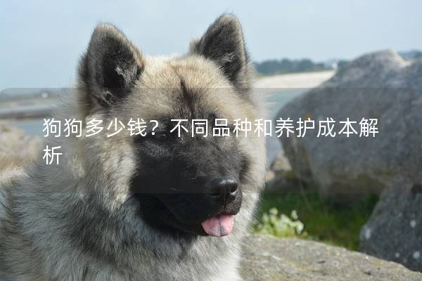 狗狗多少錢？不同品種和養護成本解析