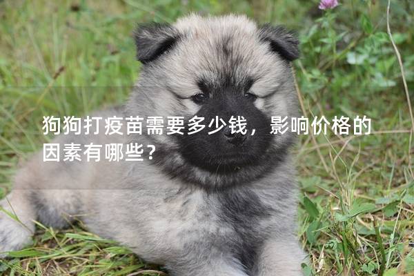 狗狗打疫苗需要多少錢，影響價格的因素有哪些？