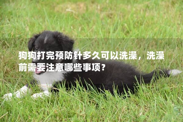 狗狗打完預防針多久可以洗澡，洗澡前需要注意哪些事項？