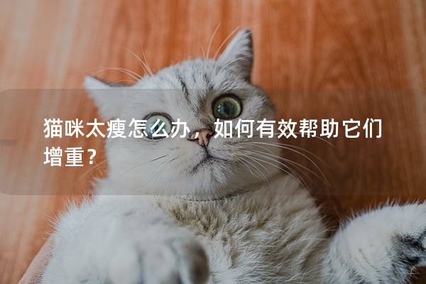 貓咪太瘦怎么辦，如何有效幫助它們增重？