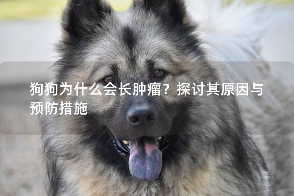 狗狗為什么會長腫瘤？探討其原因與預防措施