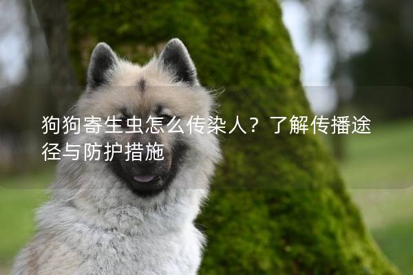 狗狗寄生蟲怎么傳染人？了解傳播途徑與防護措施