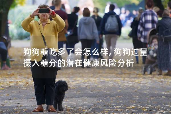 狗狗糖吃多了會怎么樣, 狗狗過量攝入糖分的潛在健康風險分析