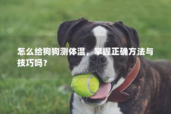 怎么給狗狗測體溫，掌握正確方法與技巧嗎？